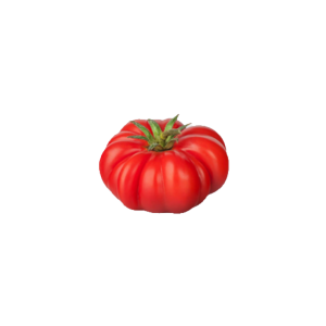 Beefsteak Tomato
