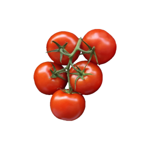 Cocktail Tomato